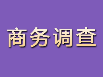 正阳商务调查