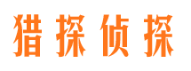 正阳市侦探公司